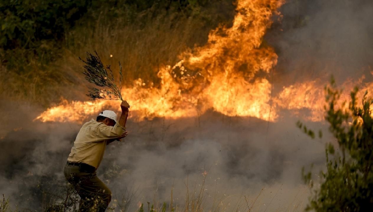 Büyük Manavgat orman yangını davasında karar