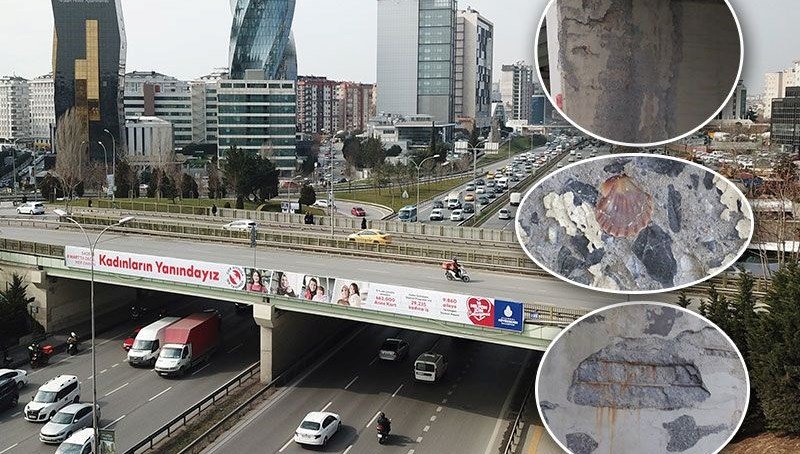 İstanbul’daki köprünün betonunda midye kabukları çıktı
