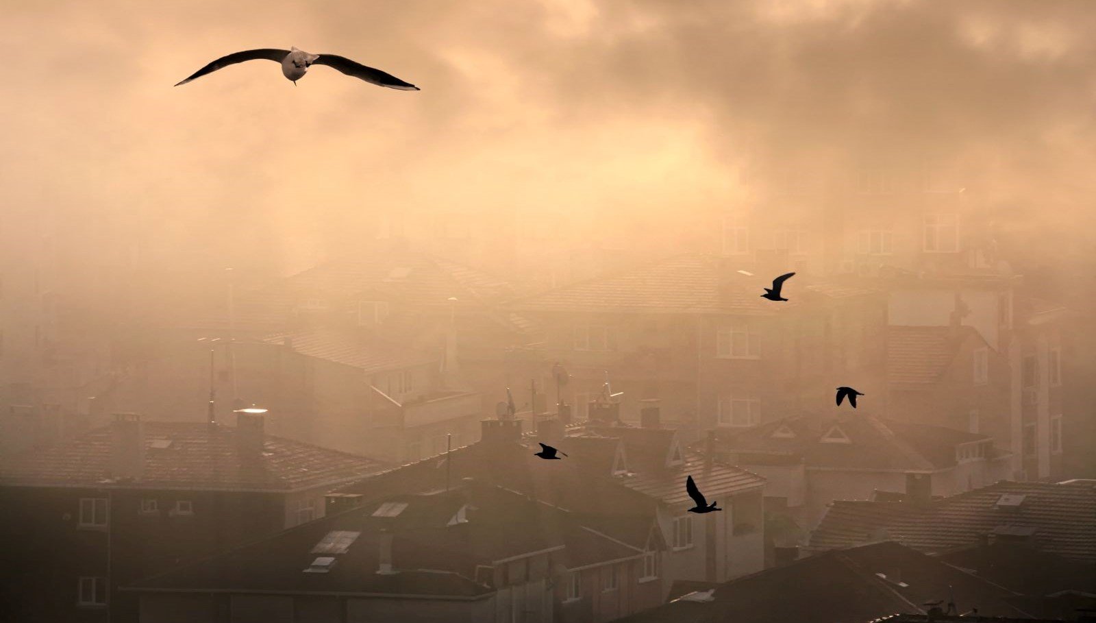 Türkiye’nin en kirli havaya sahip illeri belli oldu